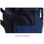 Рюкзак школьный ортопедический DUTRIEUX blue