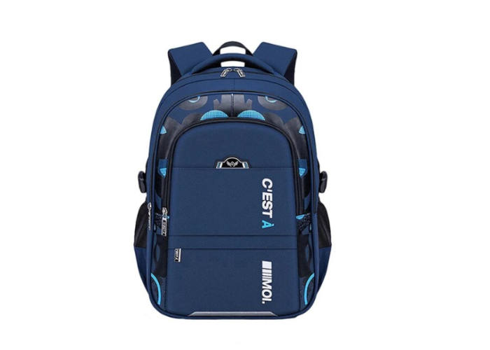 Рюкзак школьный ортопедический DUTRIEUX blue
